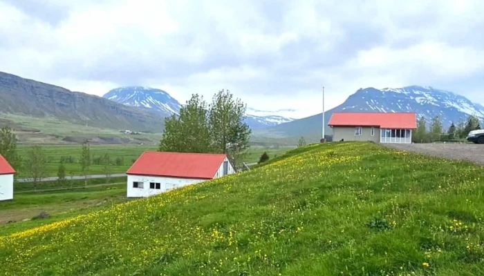 Skorrahestar -    Hestaleiga Og Gisting Neskaupstaður - Neskaupstaður