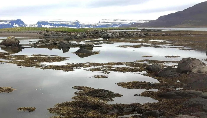 Skotufjordur Heimilisfang - Iceland