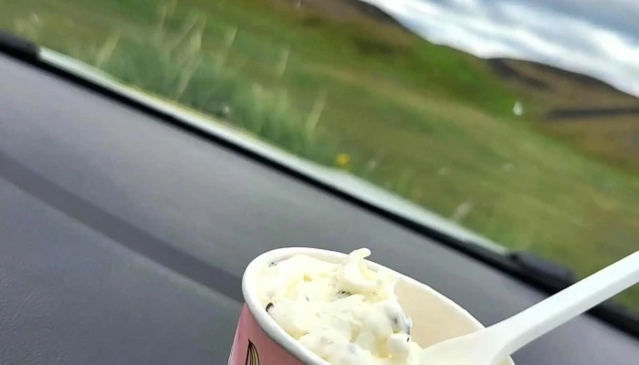 Skutais   Farm Ice Cream Rjomais - Skútustaðahreppur