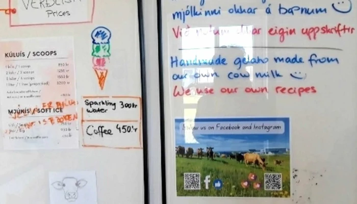 Skutais   Farm Ice Cream Umsagnir - Skútustaðahreppur