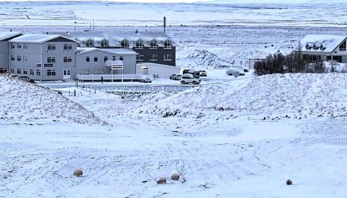 Skutustadagrig Pseudo Craters Vefsiða - Reykjahlíð