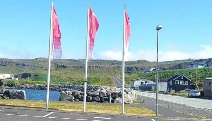 Snaefellsbaer Myndskeid - Ólafsvík