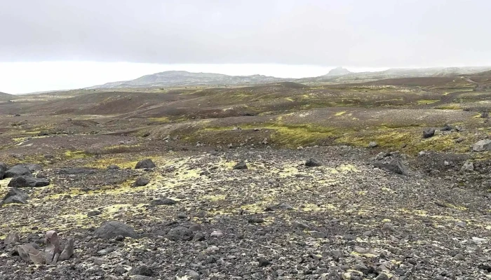 Snaefellsjokull Vefsiða - Iceland