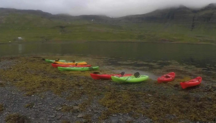 Snaefellsnes Excursions Myndbond - Grundarfjörður