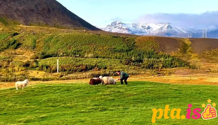Snaefellsnes Farmhouse Fra Gestum - Grundarfjörður