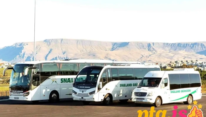 Snaeland Travel Fra Eiganda - Reykjavík