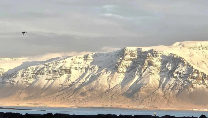 Snaeland Travel Svæði - Reykjavík