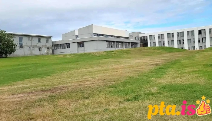 Snorralaug I Reykholti Myndskeid - Reykholt