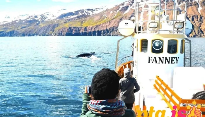 Solkusiglingat Hvalaskoðunarfyrirtæki - Húsavík