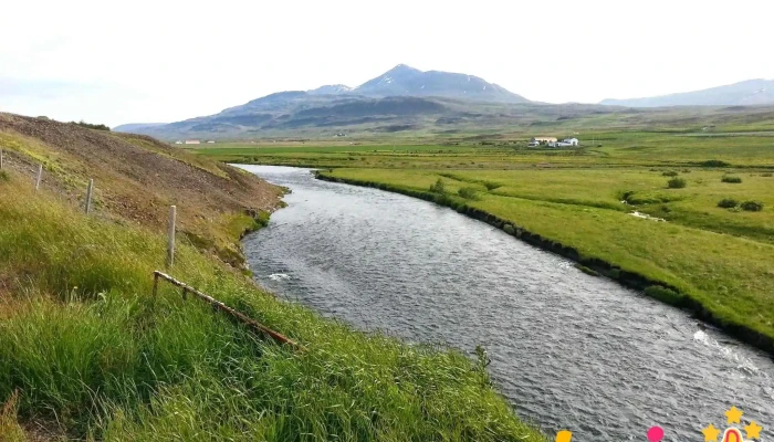 Steinsstaðalaug - 561