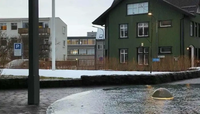 Storihundur Eftir Olofu Nordal Myndskeid - Reykjavík