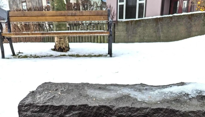 Storihundur Eftir Olofu Nordal Vefsiða - Reykjavík