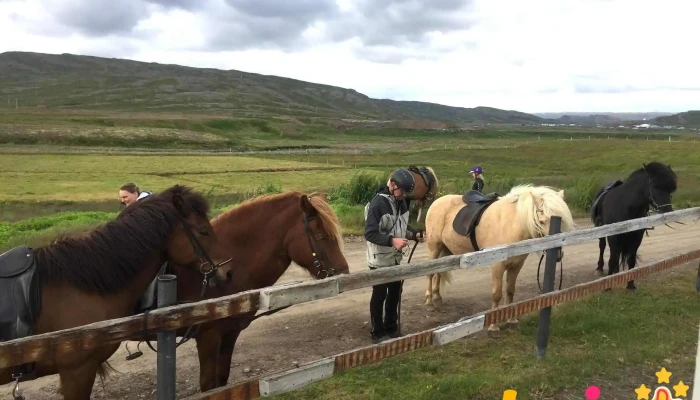 Strandahestar -  Fra Eiganda - Hólmavík