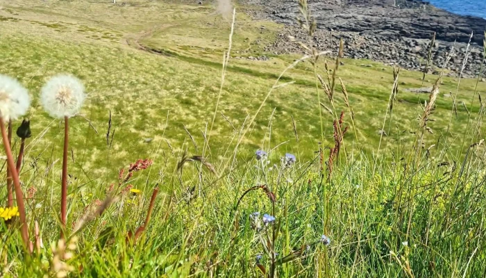 Streitisviti -  Numer - Fjarðabyggð