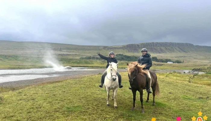 Sturlureykirhorses - 320 Reykholt