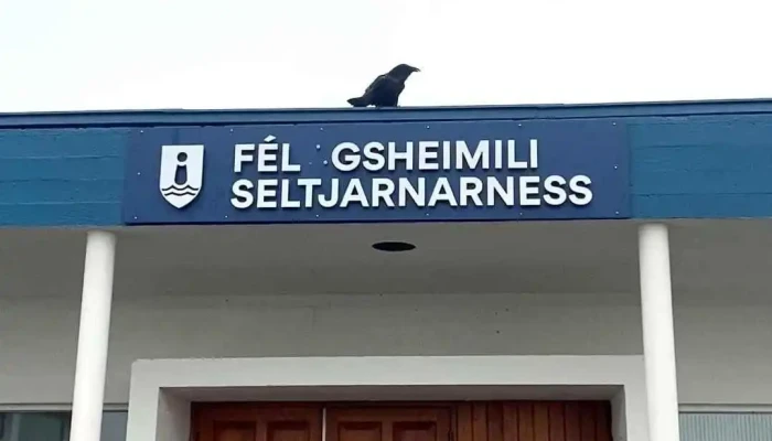 Sundlaug Seltjarnarness -  Myndskeid - Seltjarnarnes