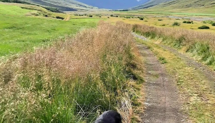 Svarfadhardalur -  Gil - Iceland