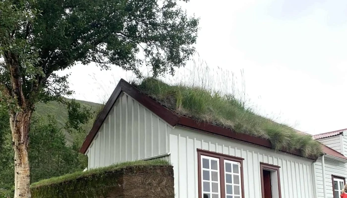 Svarfadhardalur -  Hvernig A Að Komast þangað - Iceland