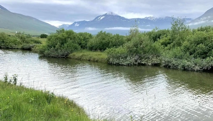 Svarfadhardalur -  Verð - Iceland