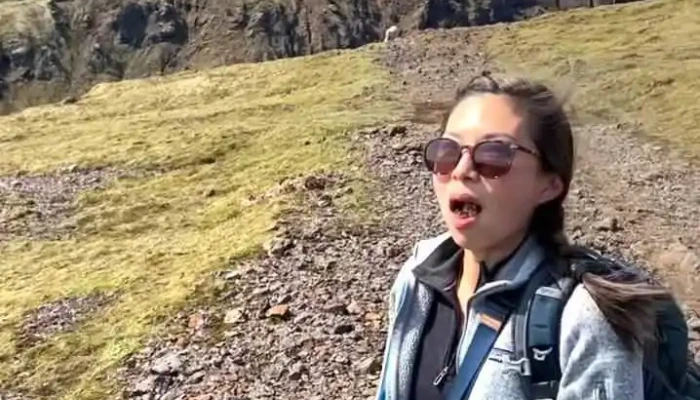 Thakgil Fra Gestum - Vík