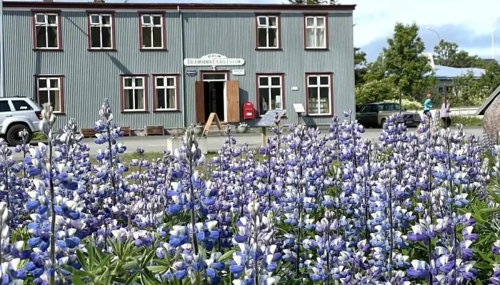 The Old Bookstore -  Gistiheimili Með Morgunmat - Flateyri