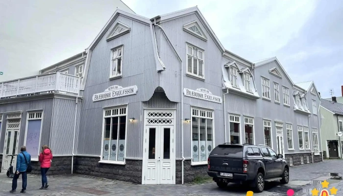 The Old Bookstore in Reykjavík - 101 Reykjavík