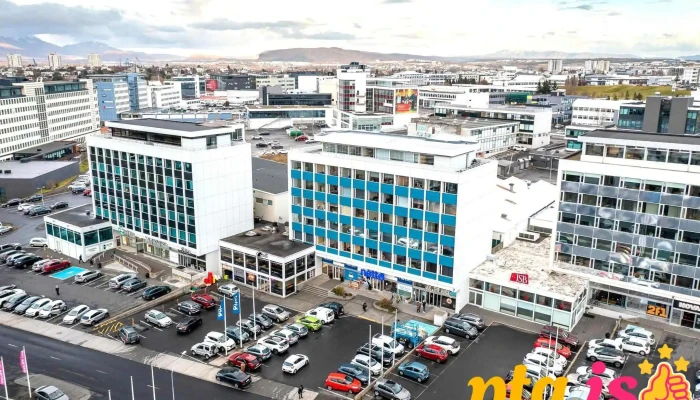 Thg Verk Fra Eiganda - Reykjavík