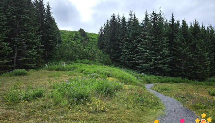 Thjodhatidarlundur Ferðamannastaður - 408