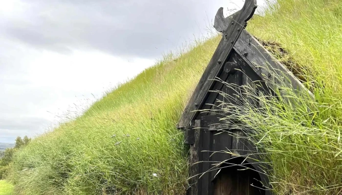 Thjodveldisbaerinn Simi - Selfoss