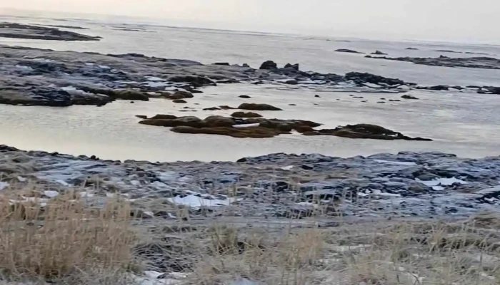 Thjorsarhraun Myndskeid - Stokkseyri