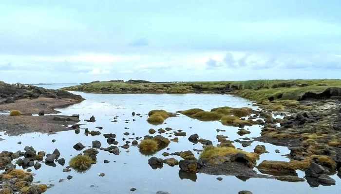 Thjorsarhraun Vefsiða - Stokkseyri