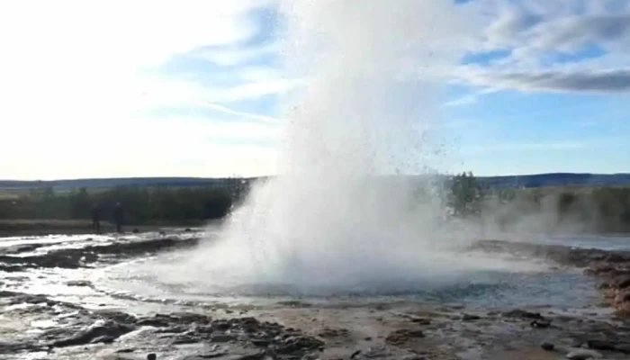 Thrastaskogur Myndskeid - Selfoss