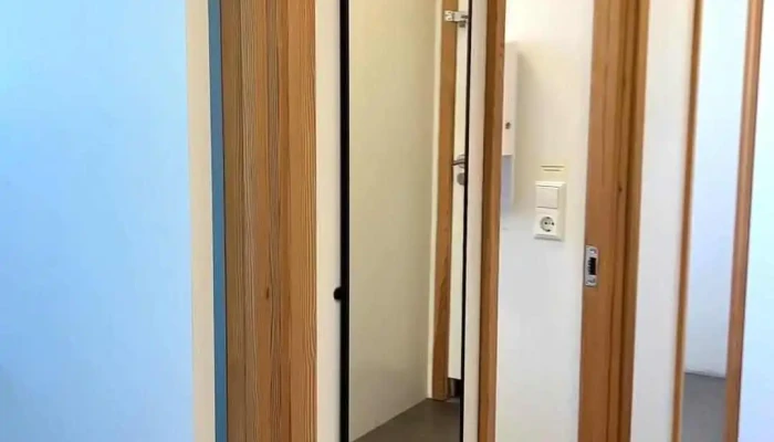 Tjaldsvaedi A Patreksfirdi Myndskeid - Patreksfjörður