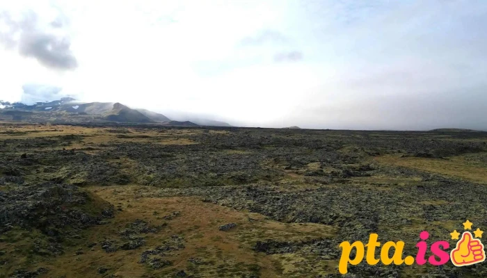 Tjaldsvaedid A Hellissandi Fra Gestum - Hellissandur