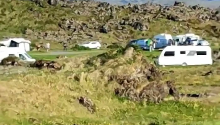 Tjaldsvaedid A Hellissandi Myndskeid - Hellissandur