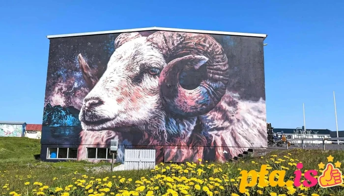 Tjaldsvaedid A Hellissandi Tjaldstæði - Hellissandur