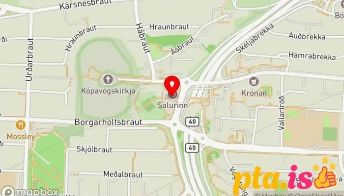 Tonlistarskoli Kopavogs Kopavogur 1 - Kópavogur