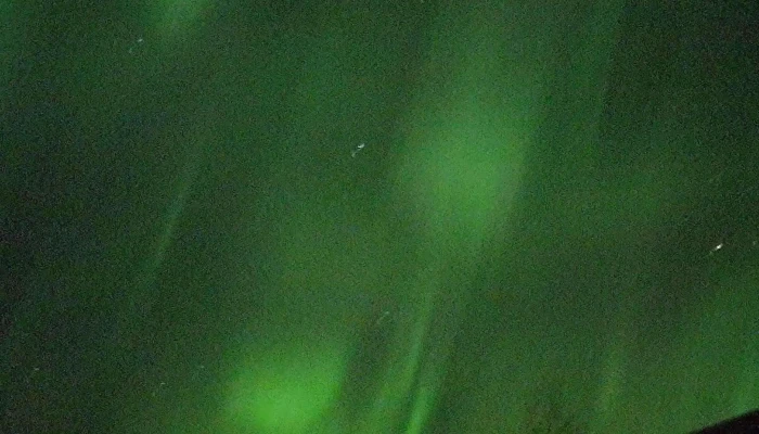 Utilifsmidstod Skata Ulfljotsvatni Myndbond - Selfoss