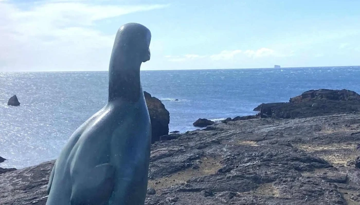 Valahnukamol Einkunn - Iceland