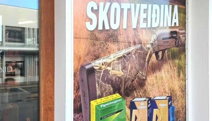 Veidihornid Myndskeid - Reykjavík