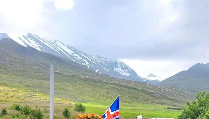 Vellir Dalvik Afslættir - Dalvík