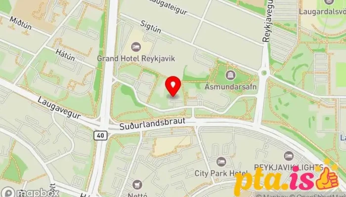 kort yfir Verkefnastjórnunarfélag Íslands Félag eða stofnun, Stéttarfélag í Reykjavík