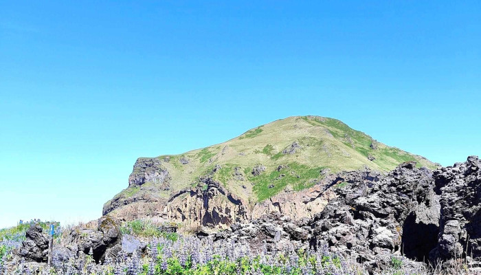 Vestmannaeyjahofn -  Svæði - Iceland