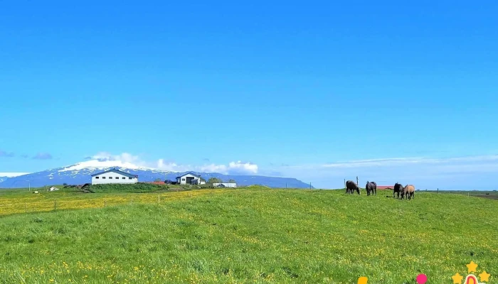 Vestra Fiflholt Fra Gestum - Akureyjarvegur