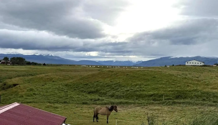 Vestra Fiflholt Numer - Akureyjarvegur