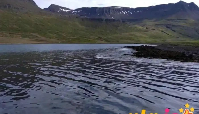 Vidfjordur Myndskeid - Viðfjarðarvegur