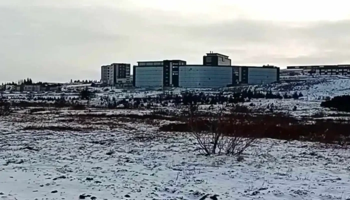 Vididalur Myndskeid - Reykjavík