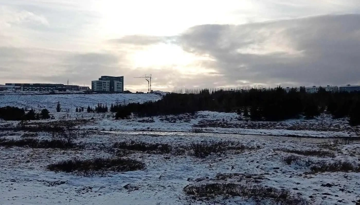 Vididalur Reiðvollur - Reykjavík
