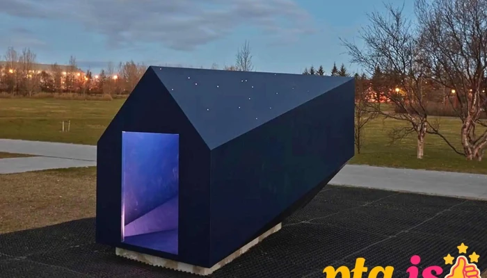 Vidsnuningur Skulptur - Reykjavík