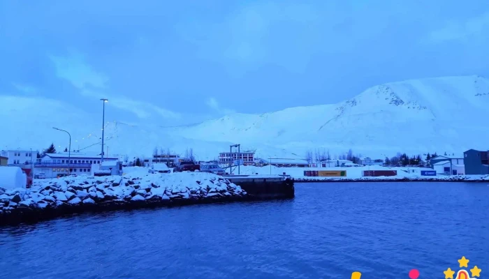 Vinbudin Afengiseinokunarsala - Dalvík